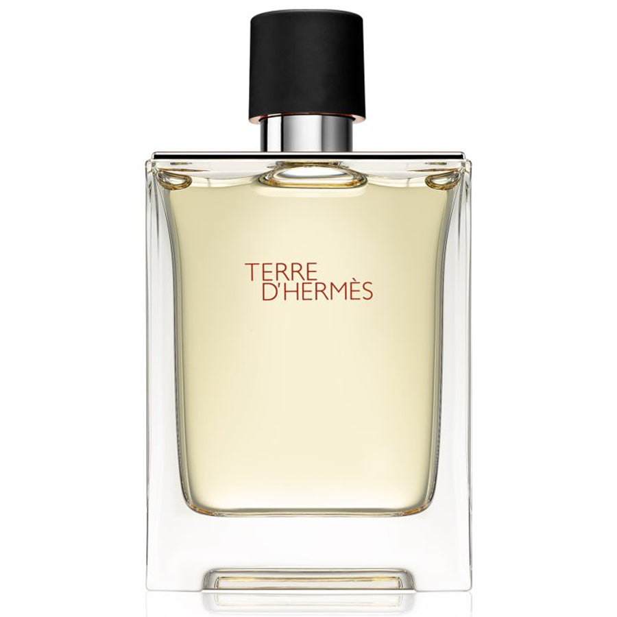 Hermes Terre Hermes - 100ML